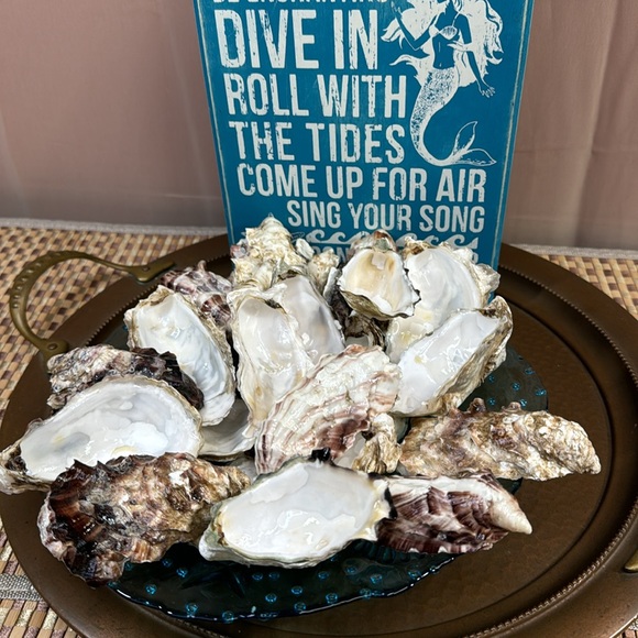 Natural Alaskan Oyster Shells- clear glazed & glossy - Picture 2 of 12